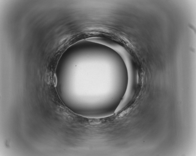 X0000099430965200805091247