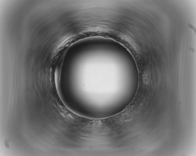 X0000099430968200805091246