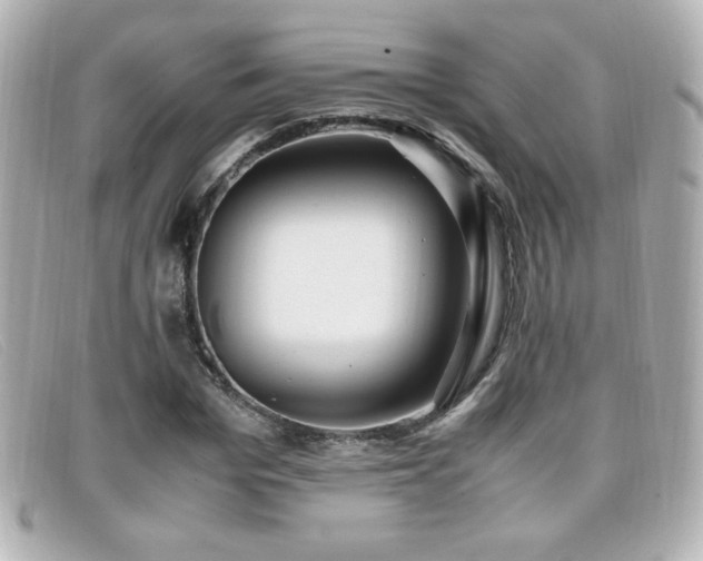 X0000099430969200805091246