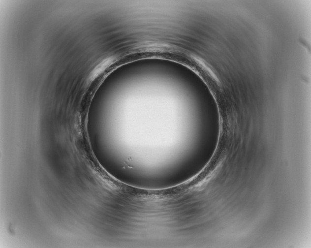 X0000099430970200805091246