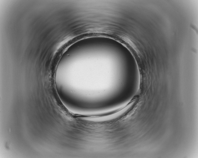 X0000099430971200805091246