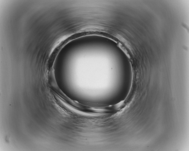 X0000099430973200805091246