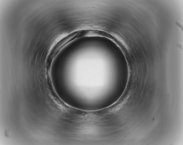 X0000099430974200805091246