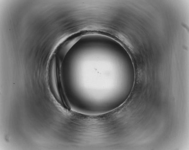 X0000099430976200805091246