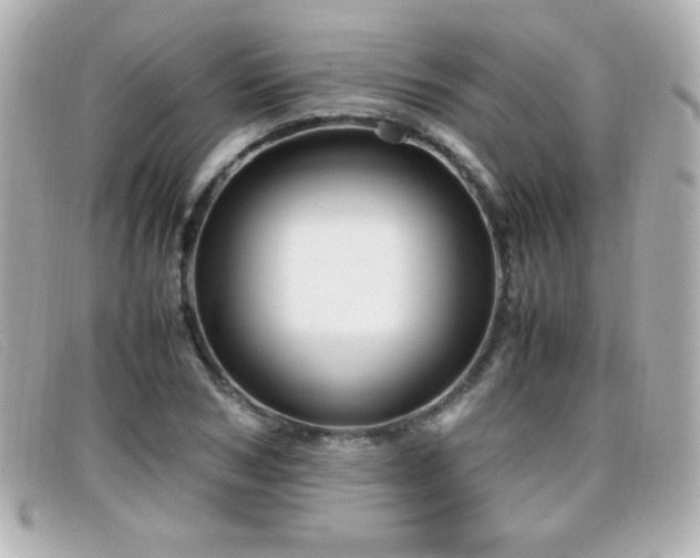 X0000099430978200805091246