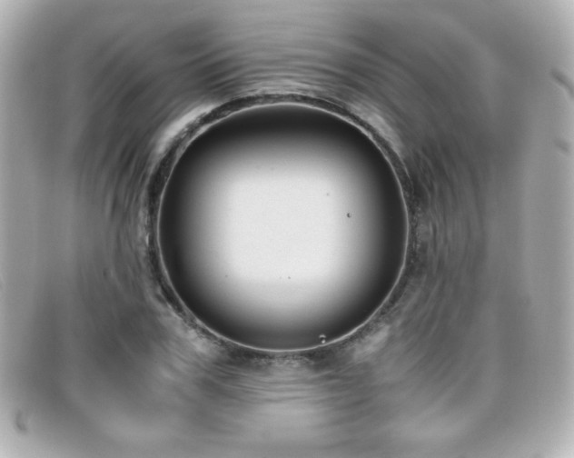 X0000099430979200805091246