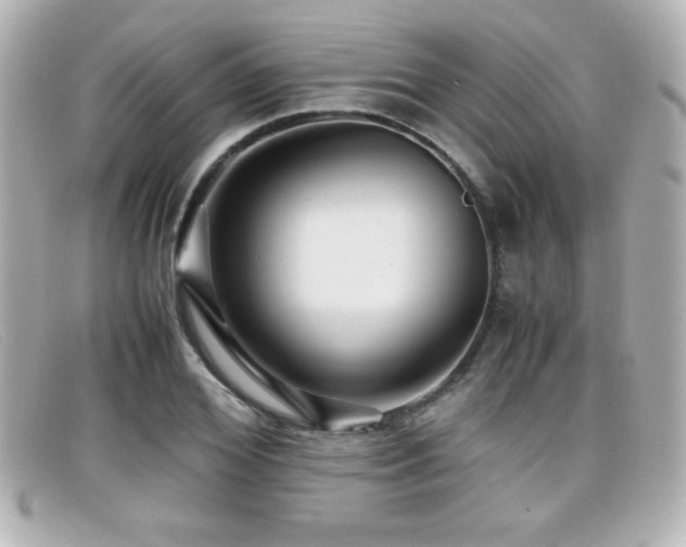 X0000099430980200805091246