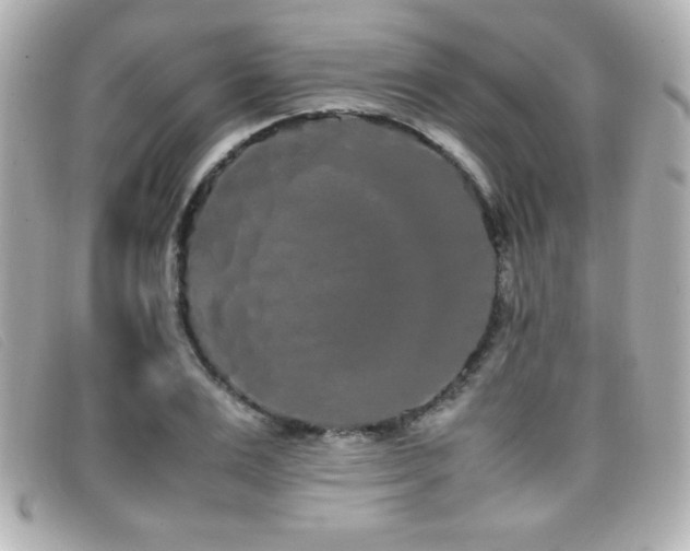 X0000099430983200805091246