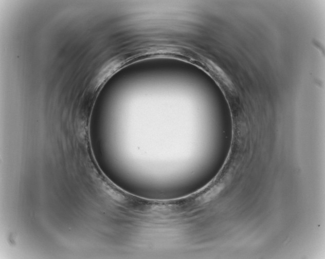 X0000099430985200805091246