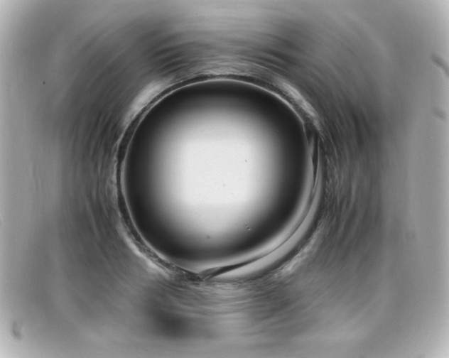 X0000099430986200805091246