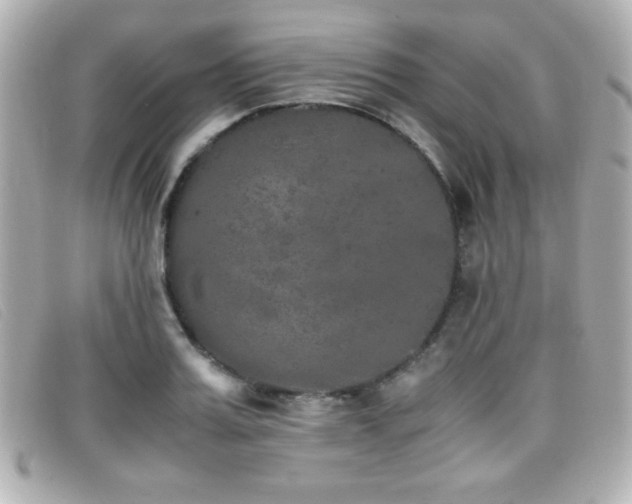 X0000099430987200805091246
