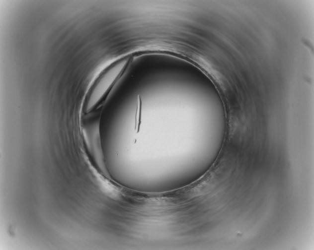 X0000099430988200805091246