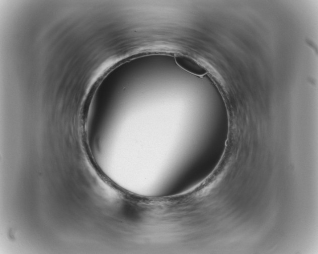 X0000099430989200805091246