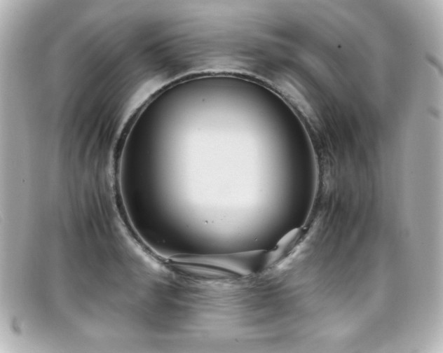 X0000099430990200805091246