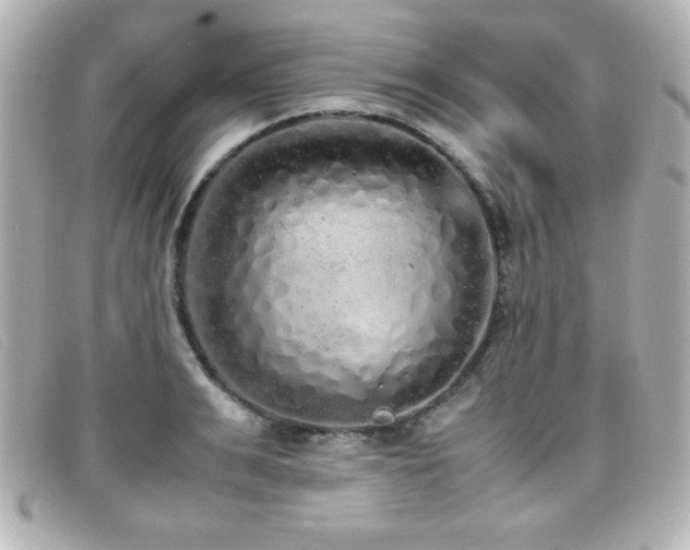X0000099430991200805091246