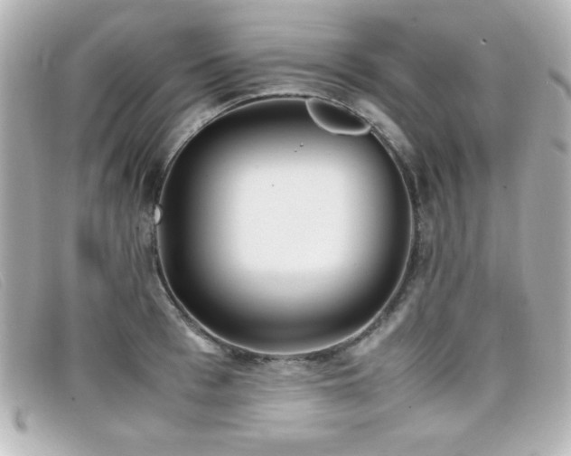 X0000099430993200805091246