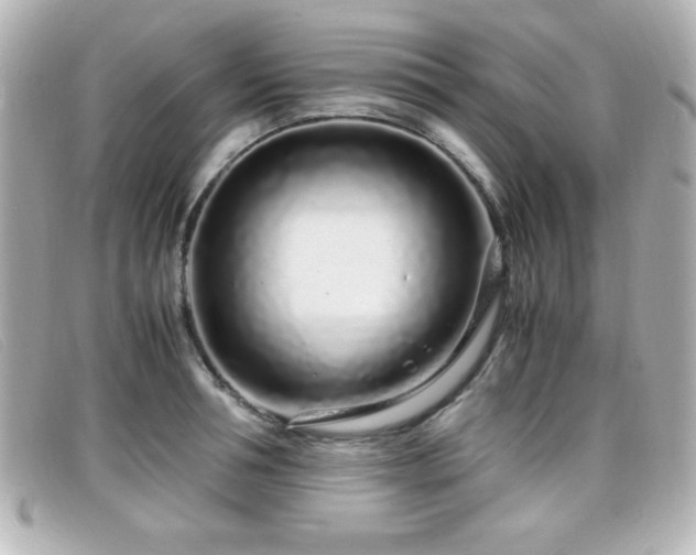 X0000099430994200805091246
