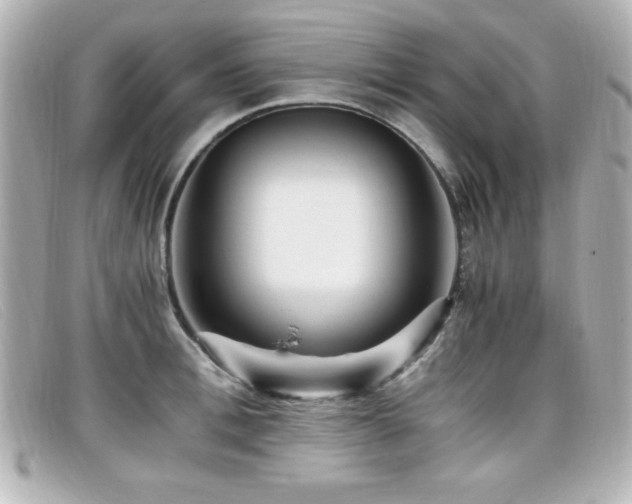 X0000099430996200805091246