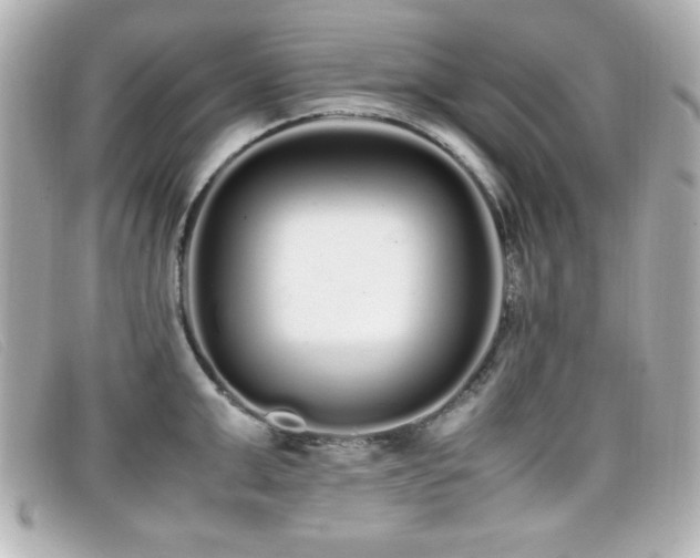 X0000099430999200805091246