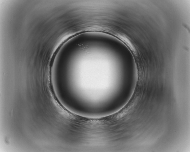 X0000099431000200805091246