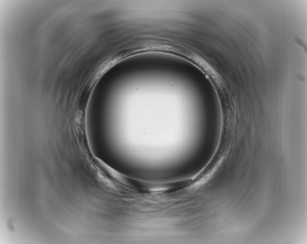 X0000099431001200805091246