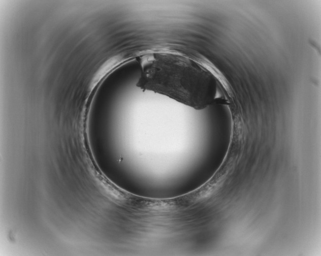 X0000099431002200805091246