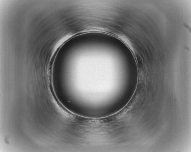 X0000099431003200805091246