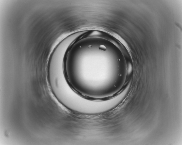 X0000099431005200805091246