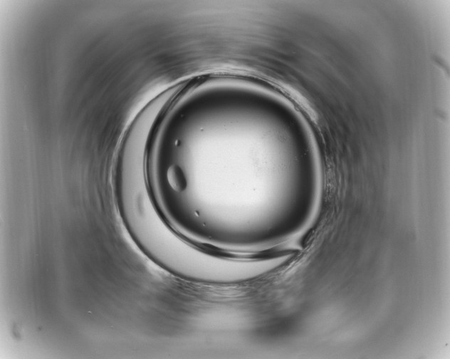 X0000099431007200805091246