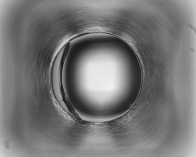 X0000099431008200805091246