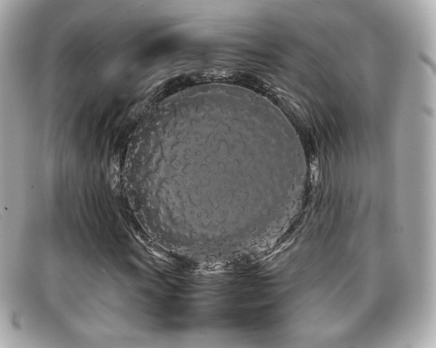 X0000099431011200805091245