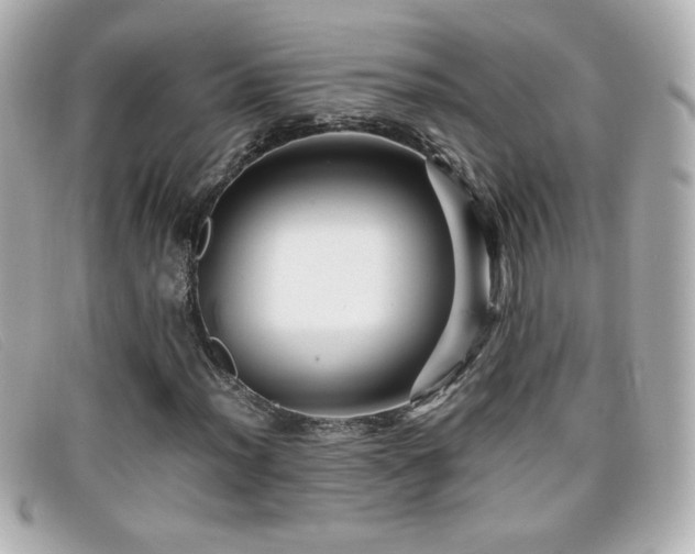 X0000099431012200805091245