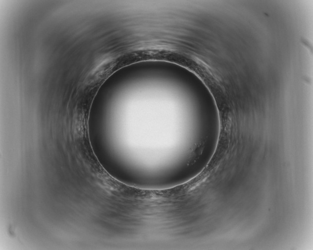 X0000099431014200805091245