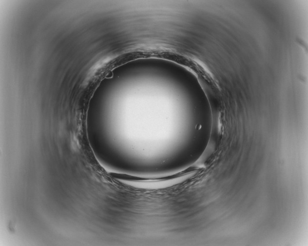 X0000099431016200805091245