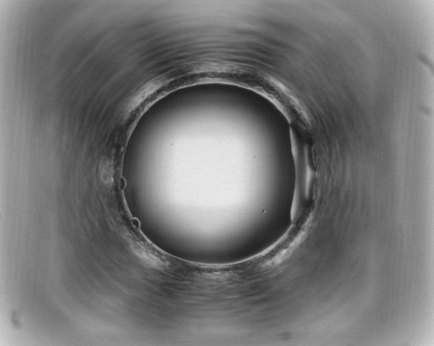 X0000099431017200805091245