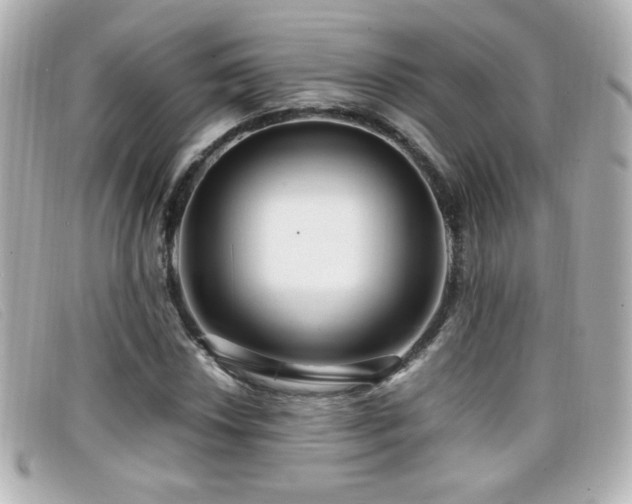 X0000099431018200805091245