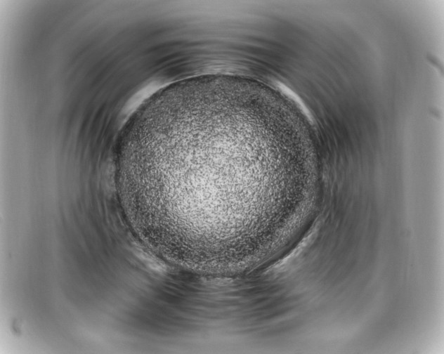 X0000099431019200805091245