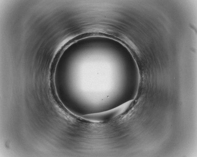 X0000099431020200805091245