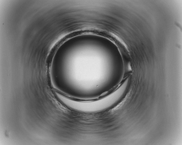 X0000099431021200805091245