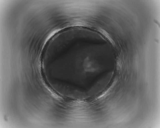 X0000099431024200805091245