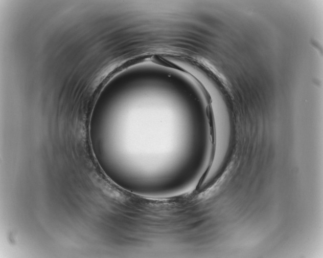 X0000099431025200805091245