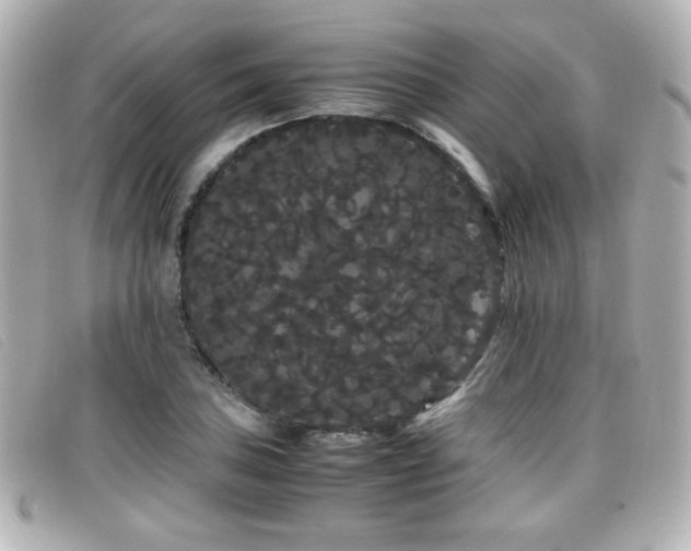 X0000099431027200805091246