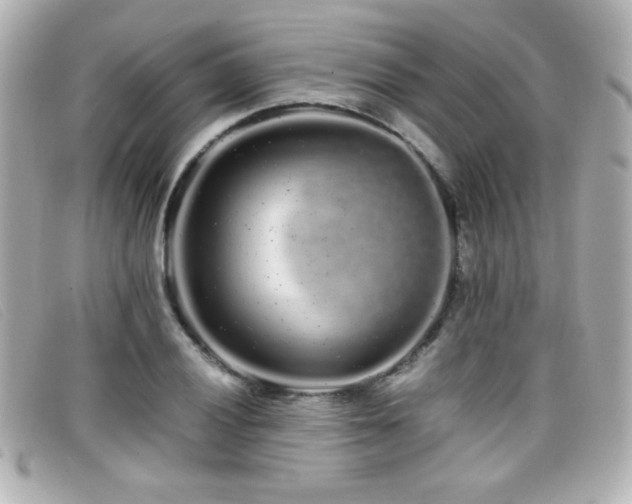 X0000099431028200805091246