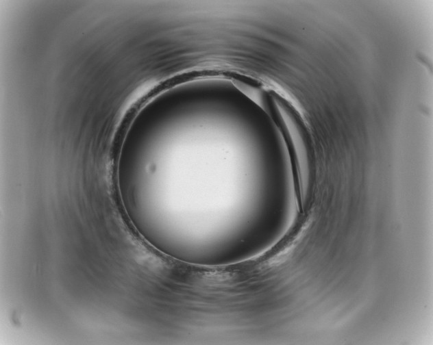 X0000099431029200805091246