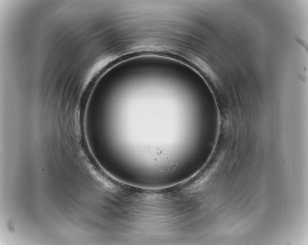 X0000099431030200805091246