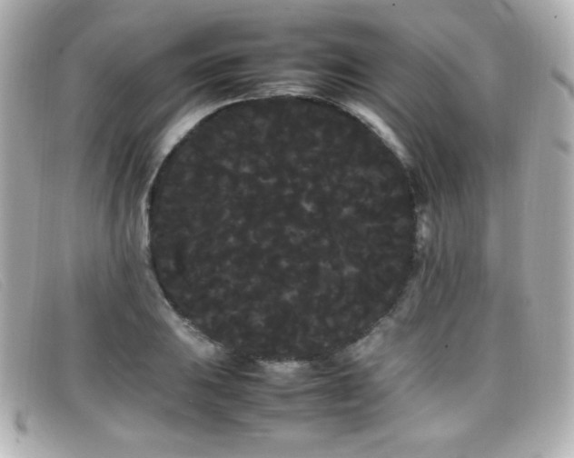 X0000099431031200805091246