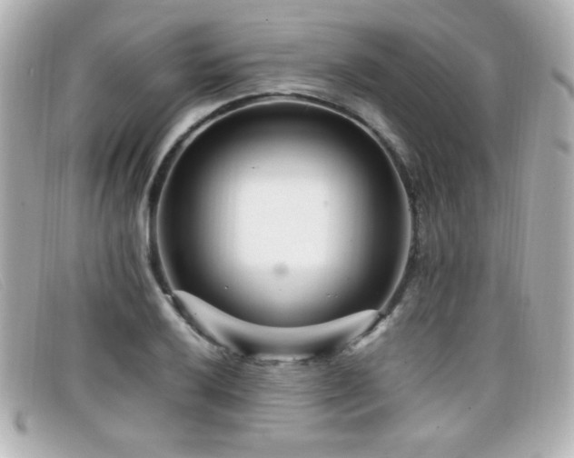 X0000099431032200805091246