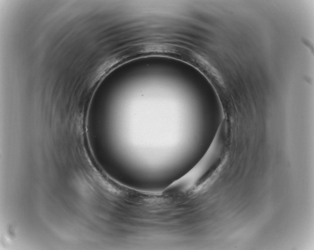 X0000099431033200805091246