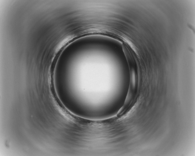 X0000099431034200805091246