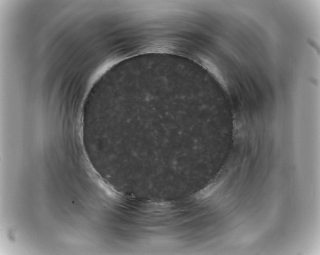 X0000099431035200805091246